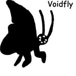 Voidfly Meme Template