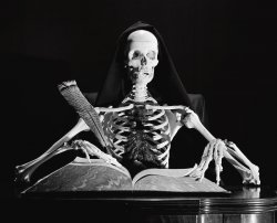 skeleton writing something Meme Template
