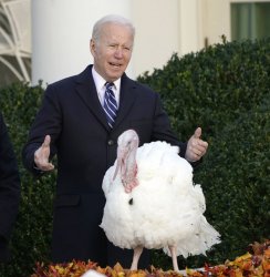 Biden with turkey Meme Template