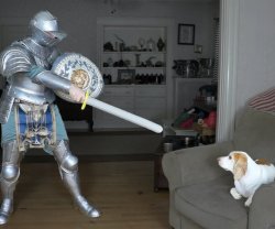 Knight Acosts Dog Meme Template