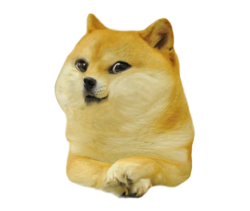 Young Doge Meme Template