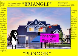 The briangle plooger Meme Template