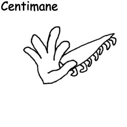 Centimane Meme Template