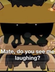 Really? Meme Template