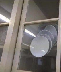 Schrödinger's plates Meme Template