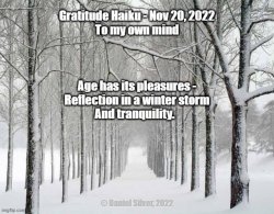 Gratitude Haiku - Nov 20, 2022 Meme Template