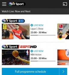 2 Channels In BT Sport App??? Meme Template