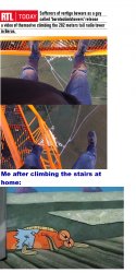 Stairs Meme Template