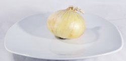 Onion on a plate Meme Template