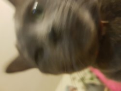 smoky@3am Meme Template