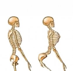 Two Skeletons Meme Template