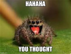 Hhahhahahhaa Meme Template