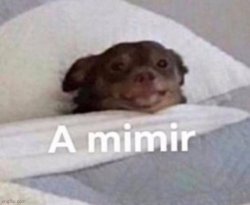 mimir Meme Template