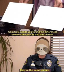 Cop sloth they're the same picture Meme Template