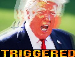 Donald Trump triggered Meme Template