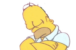 Homer Asleep Meme Template