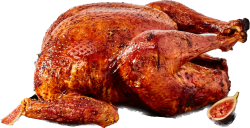 Thanksgiving Turkey Meme Template