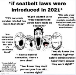 Seatbelt laws 2021 Meme Template