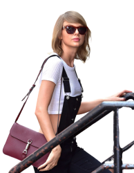 Taylor Swift sunglasses Meme Template
