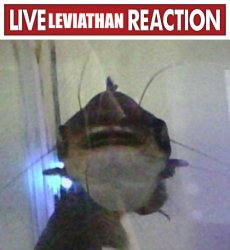 live leviathan reaction Meme Template