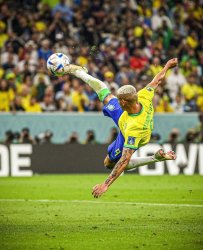 brazil world cup Meme Template