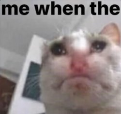 me when the Meme Template