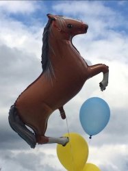 Sussy horse balloon Meme Template