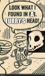 Mad Cartoon Furry Meme Meme Template