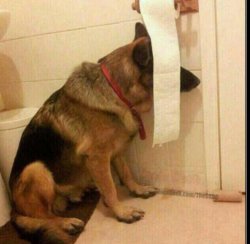 Yo ocultando mis ganas de Meme Template