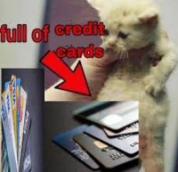 cat full of credit cards Meme Template