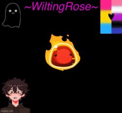 WiltingRose NEW NEW temp Meme Template