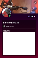pyro's discord temp (i'm not copying spy i swear/j) Meme Template