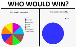 Who would win gun deaths caused by Meme Template