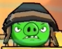 Corporal Pig Staring Angry Meme Template