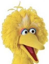 Big Bird Head Meme Template