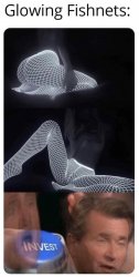 Glowing fishnets Meme Template