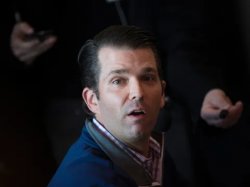 Don Jr Meme Template
