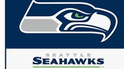 Seattle seahawks Meme Template
