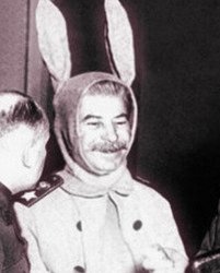 Stalin bunny Meme Template