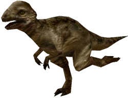Pachycephalosaurus (FMM UV-32) Meme Template
