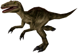 Allosaurus (FMM UV-32) Meme Template