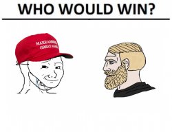 Who would win crying MAGA wojak vs. yes chad Meme Template