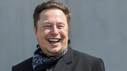 Laughing Elon Meme Template