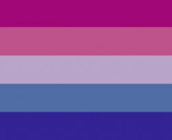 Biromantic Graysexual flag Meme Template