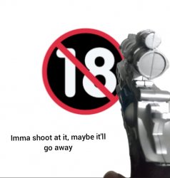 Imma shoot at it, maybe it'll go away Meme Template