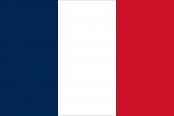 france flag Meme Template