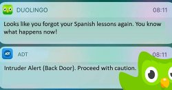 Duolingo is a angery bird Meme Template