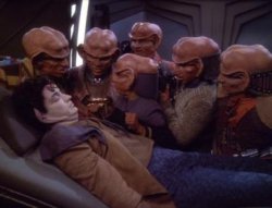 Ferengi Meme Template