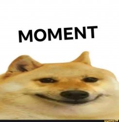 moment Meme Template