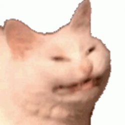 cat Meme Template